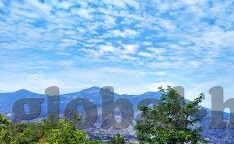91原创麻豆-绘制成人娱乐的灰色地带，91原创麻豆现象之探