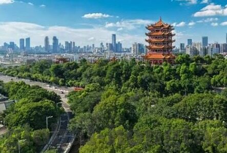 成人糖心vlog下载-成人世界的秘密花园，探秘糖心Vlog的精彩下载之旅