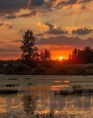 成人有声小说一区二区-成人有声小说，一区二区的魅力与挑战