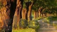 伦理2018理论片-伦理的镜像，2018年理论片的社会反思