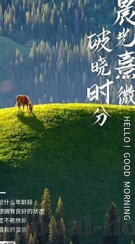 伦理在线看-伦理在线，重塑网络空间的道德指南