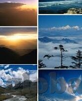 麻豆91色在线影院-麻豆91，数字时代的视听盛宴与边界探讨