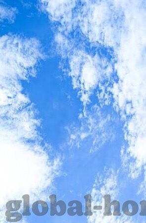 麻豆传媒视频资源下载-把握数字时代，麻豆传媒视频资源下载的利与弊