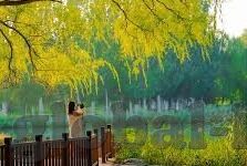 糖心vlog官网入口贴吧-探索糖心Vlog官网入口，在数字时代记录生活的小确幸